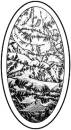 Runder Eisblumenbevel oval